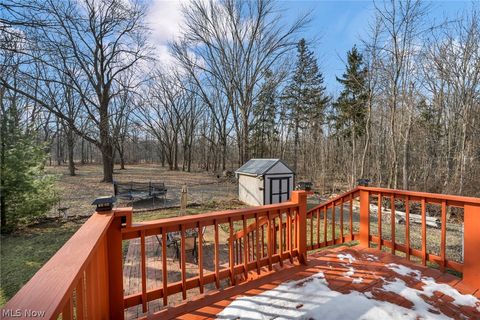 Tiny photo for 54 Park Road, Painesville, OH 44077 (MLS # 5189705)