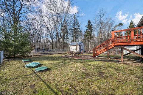Tiny photo for 54 Park Road, Painesville, OH 44077 (MLS # 5189705)
