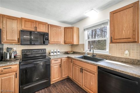 Tiny photo for 54 Park Road, Painesville, OH 44077 (MLS # 5189705)