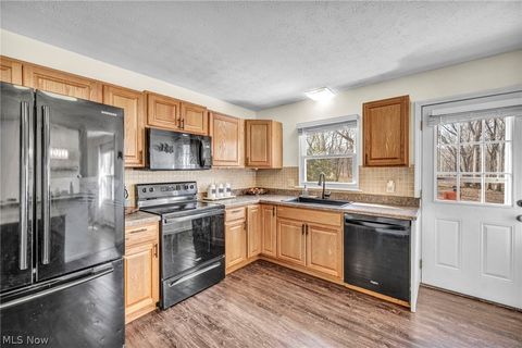 Tiny photo for 54 Park Road, Painesville, OH 44077 (MLS # 5189705)