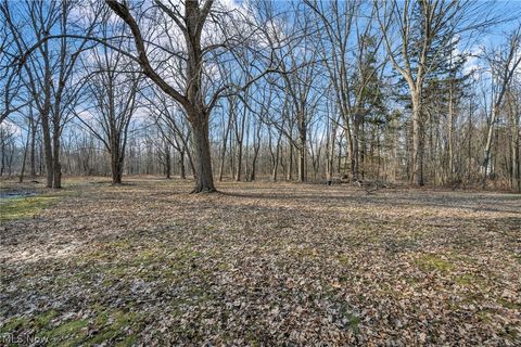 Tiny photo for 54 Park Road, Painesville, OH 44077 (MLS # 5189705)