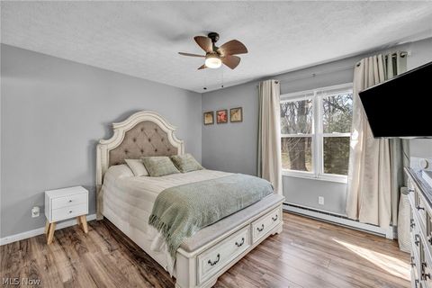 Tiny photo for 54 Park Road, Painesville, OH 44077 (MLS # 5189705)