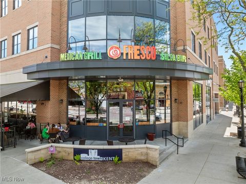 100 E Erie Street 112 Kent OH 44240