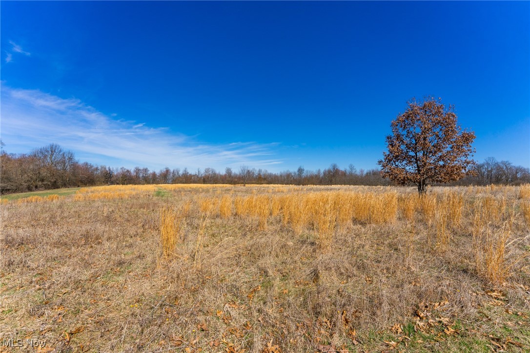 14850 State Route 45, Lisbon, Ohio image 16