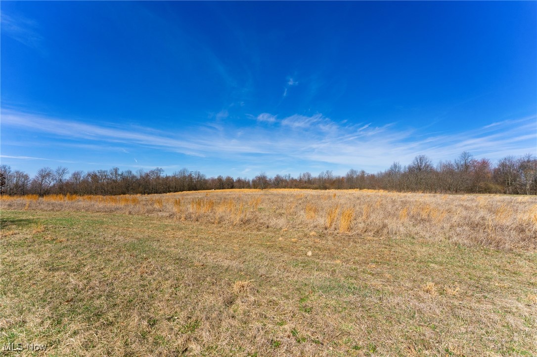 14850 State Route 45, Lisbon, Ohio image 21