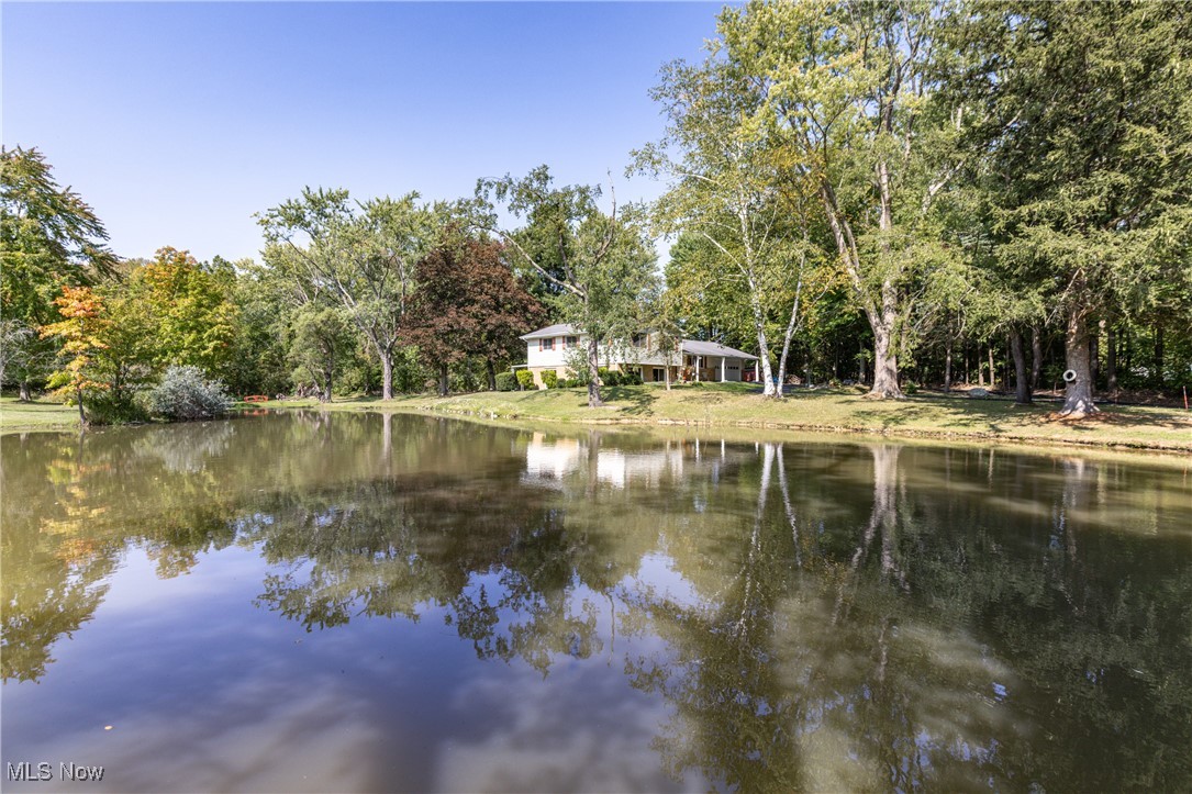 Newman Allotment - Residential