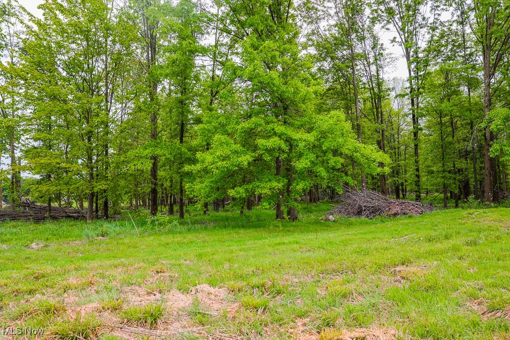 Hosmer Road, Middlefield, Ohio image 9