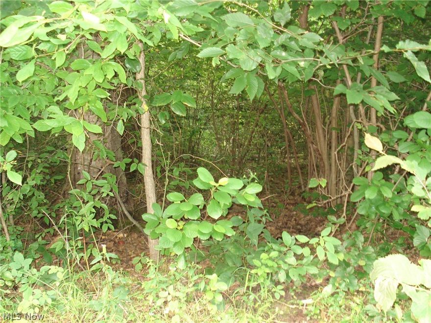Nice wooded lot for sale, seller says lot is grandfathered in to be buildable.