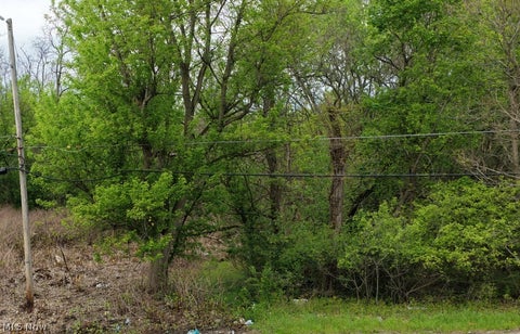 Vacant Land For Sale - 1 Montgomery Avenue<br/> Campbell, OH 44506