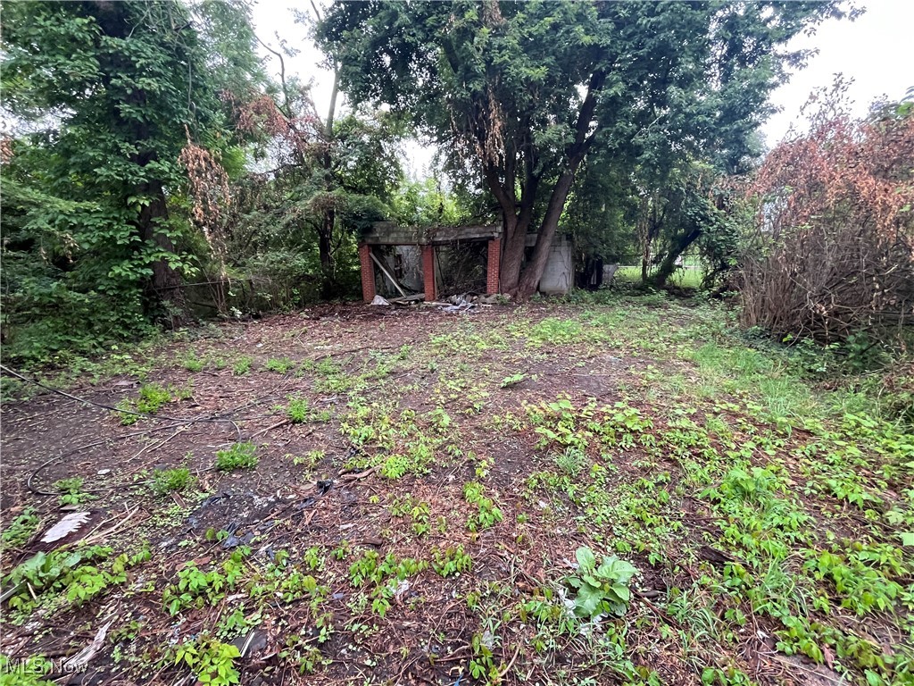 Mount Pleasant Allotment - Residential Income