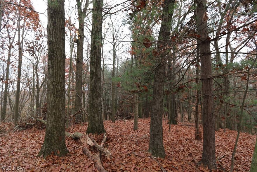 Located just north of Stonecreek, this 7.5 acres of hunting land/ possible building lot has a very nice feel to it. Harvest the timber, harvest your trophy whitetail, build your dream home or cabin and in general create a nice getaway with out breaking the bank. Nice amount of timber on this one. Half the property is in the city limits. Lots of potential on this one, Great investment property. Call today!