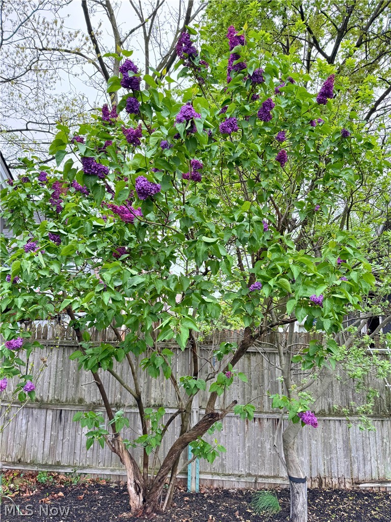 J J Marvins Sub - Residential