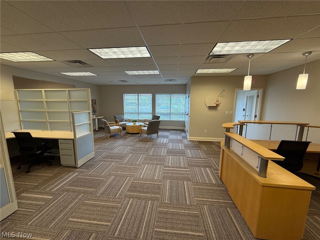 31320 Solon Road 19