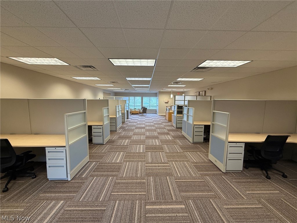 31320 Solon Road 19