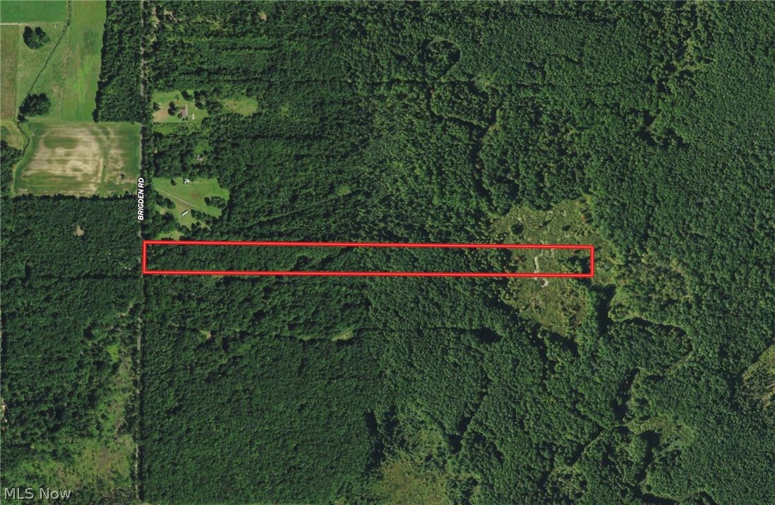 Opportunity awaits! Located in Trumbull County and Mesopotamia Township, are 21+ acres bordering public state land! Come in and personalize this tract of recreational/hunting property to your specs by strategically placing your blinds and tree stands, cutting your own trails, and add yourself a nice food plot! Don't wait! Give us a call for more information and to schedule to take a look at this property!