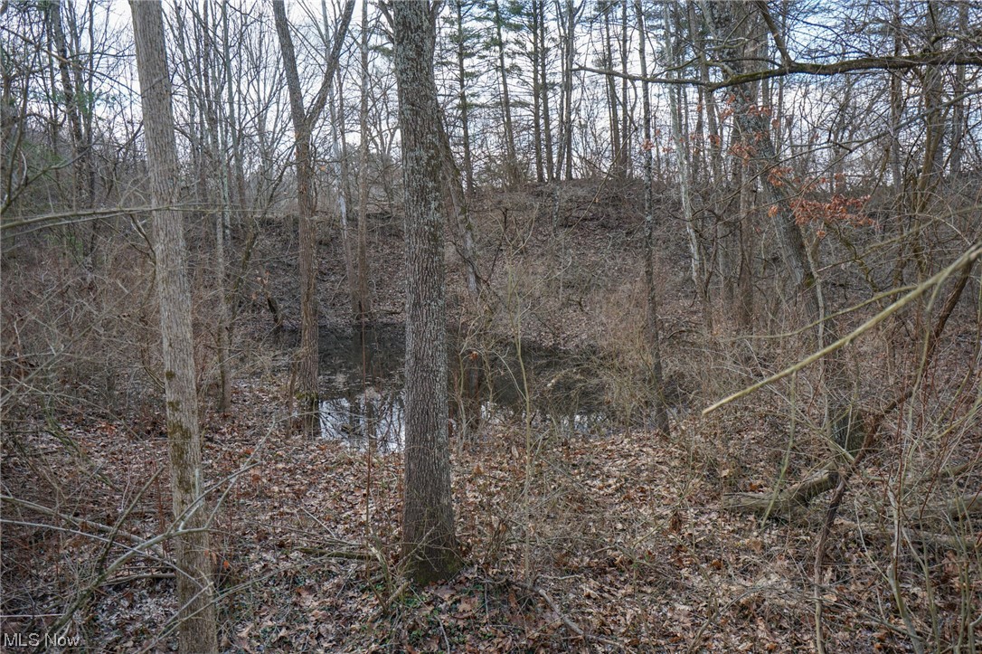 Co Rd 41, Dexter City, Ohio image 6