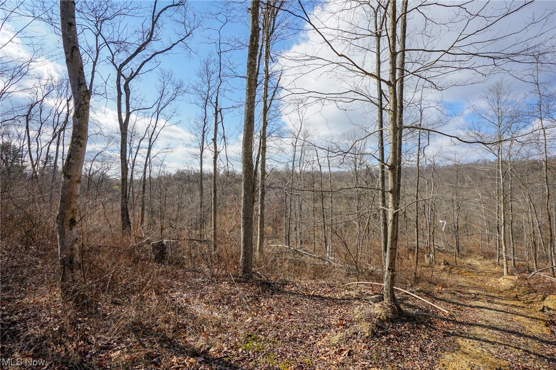 Co Rd 41, Dexter City, Ohio image 9