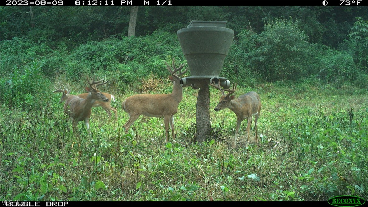 Co Rd 41, Dexter City, Ohio image 31