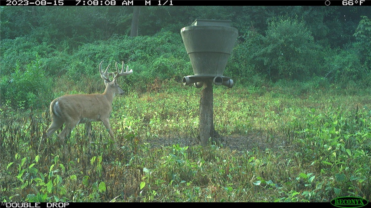 Co Rd 41, Dexter City, Ohio image 34