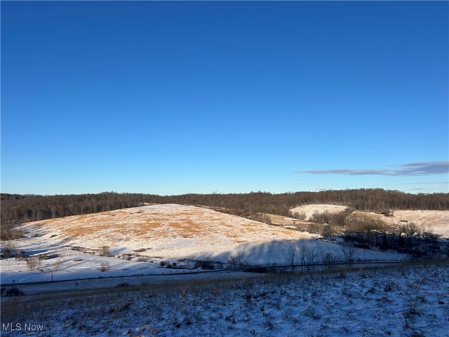 This versatile tract offers an excellent blend of hunting, agricultural use, and future building potential. The property features beautiful views and a ridge-top building site, with additional build options available along the road frontage. Productive open ground makes it well suited for pasture or hay production. Extensive road frontage provides outstanding access and creates potential for future lot splits. A year-round creek runs through the property, adding both character and wildlife value. Pristine wooded areas offer strong habitat and recreational opportunity, making this a well-rounded property with multiple uses and long-term appeal.