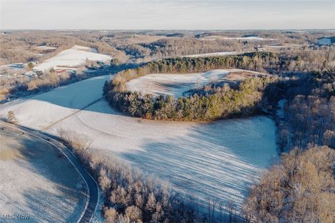 Vacant Land For Sale - 11160 Trinity Church Road<br/> Lisbon, OH 44432
