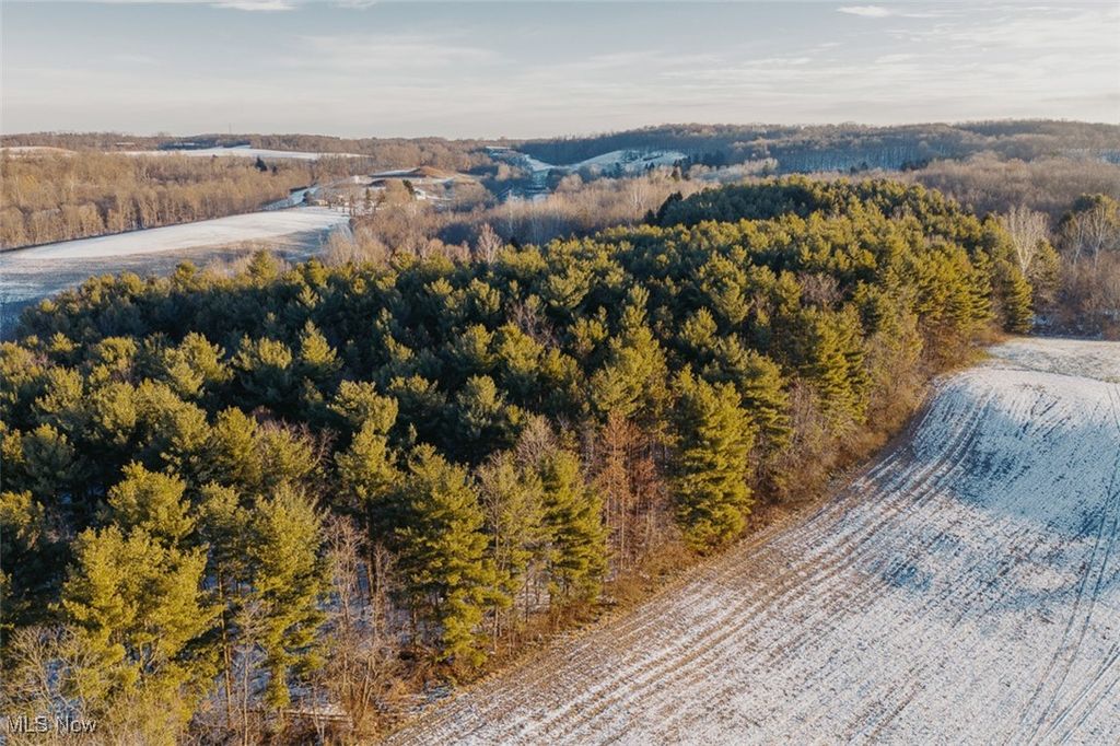 Photo of 11160 Trinity Church Road, Lisbon, OH 44432 (MLS # 5177856)