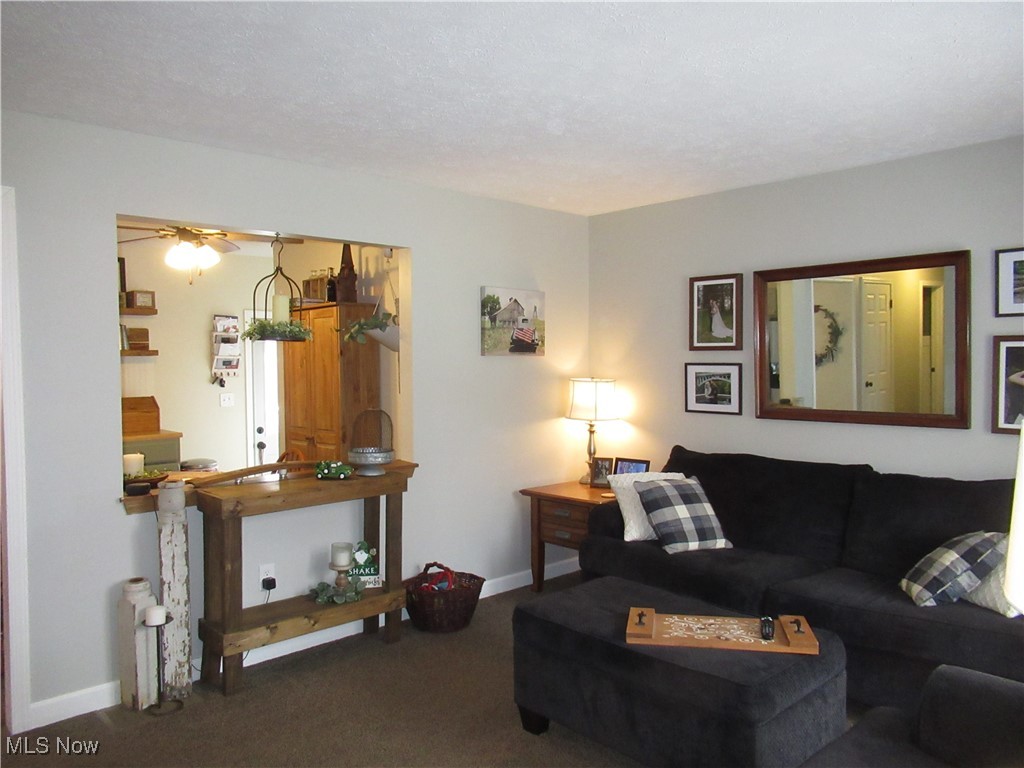 1048 Woodglen, Newton Falls, Ohio image 3
