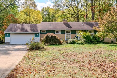 8804 Shandle Boulevard, Mentor, OH 44060 - #: 5160120