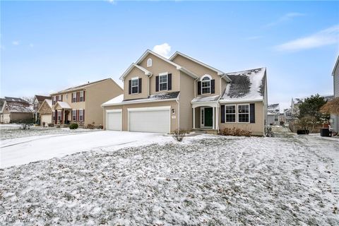 Tiny photo for 3961 Woodworth Drive, Lorain, OH 44053 (MLS # 5179380)