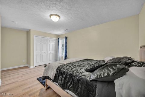 Tiny photo for 3961 Woodworth Drive, Lorain, OH 44053 (MLS # 5179380)