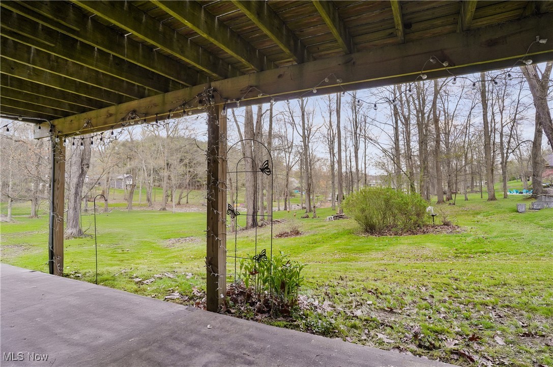 47401 Tomahawk Drive, Negley, Ohio image 28