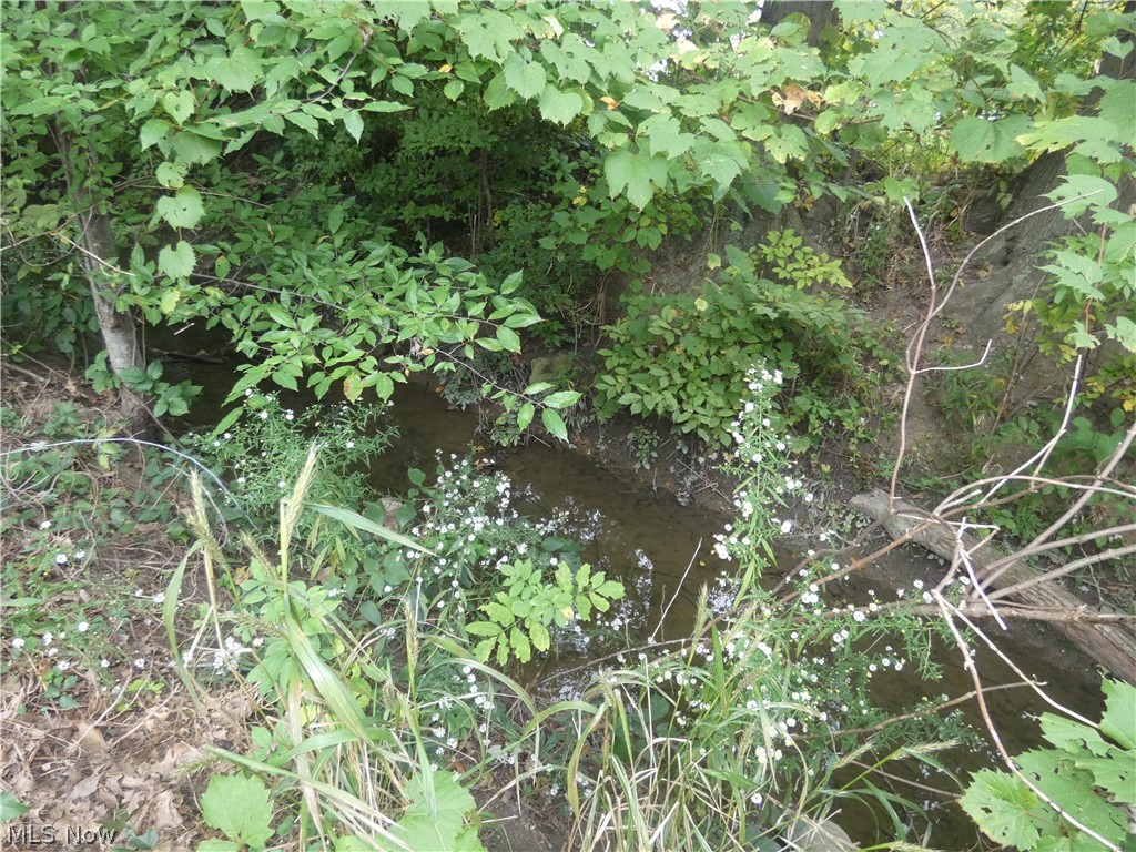 Ridgeville - Residential