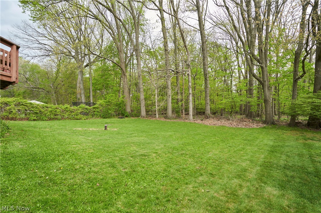 Turkeyfoot Park - Residential