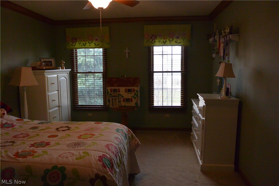 Wellington - Residential