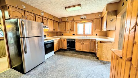 Tiny photo for 770 Broad Street, Conneaut, OH 44030 (MLS # 5203098)