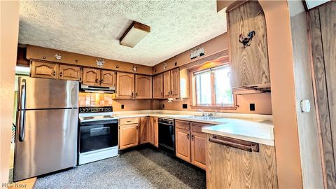 Tiny photo for 770 Broad Street, Conneaut, OH 44030 (MLS # 5203098)