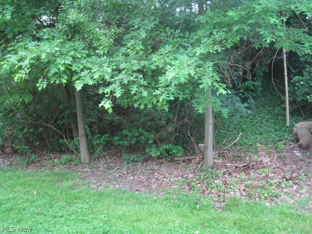 Ranch Realty - Residential Lease