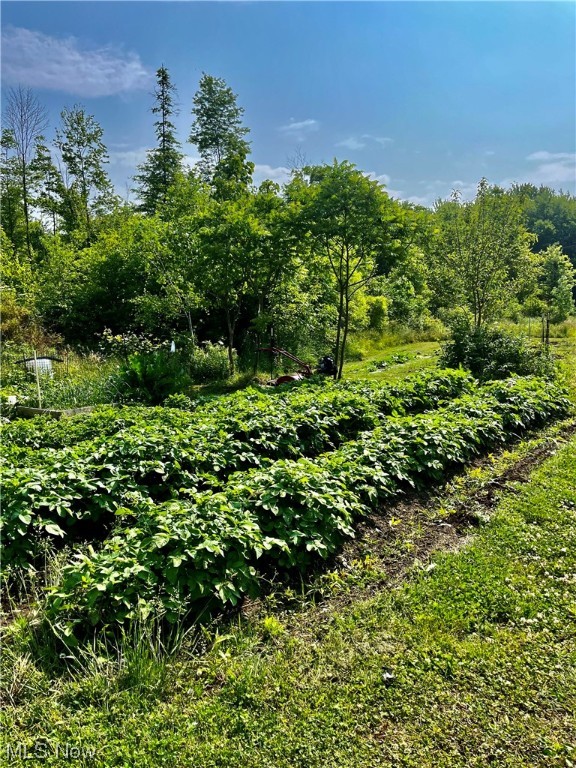 Geneva Sec #4 - Residential