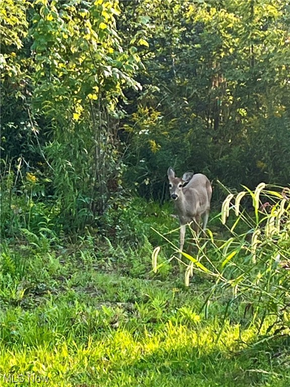 Geneva Sec #4 - Residential