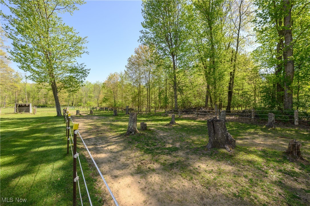8541 Lee Road, Malvern, Ohio image 15