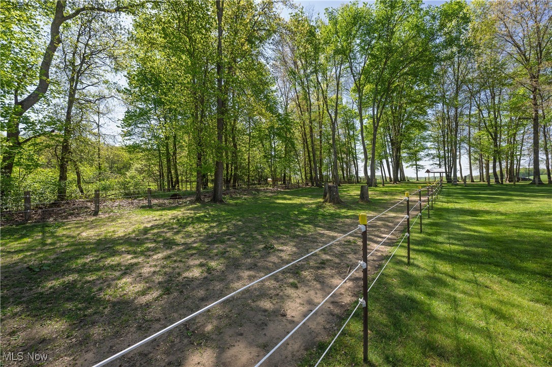 8541 Lee Road, Malvern, Ohio image 14