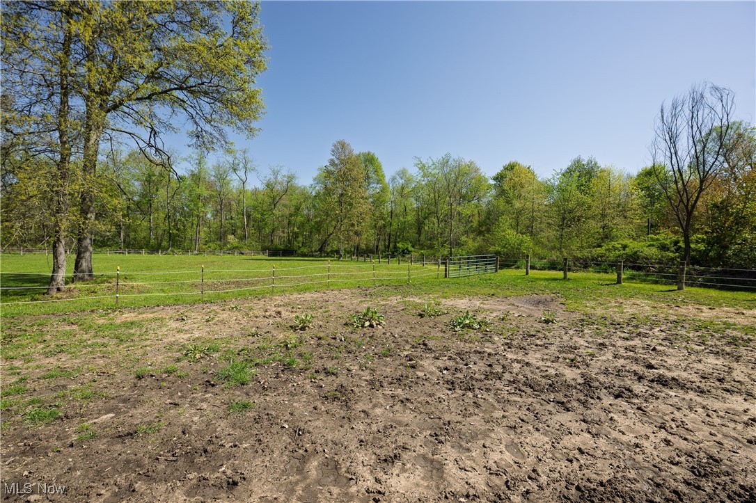 8541 Lee Road, Malvern, Ohio image 13