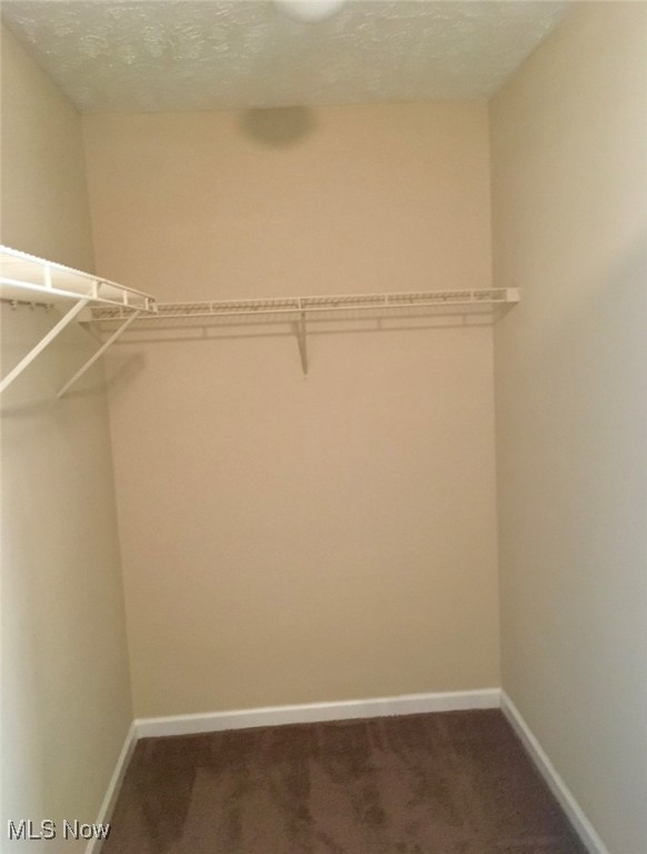 1854 Secretariat Street, Canton, Ohio image 19