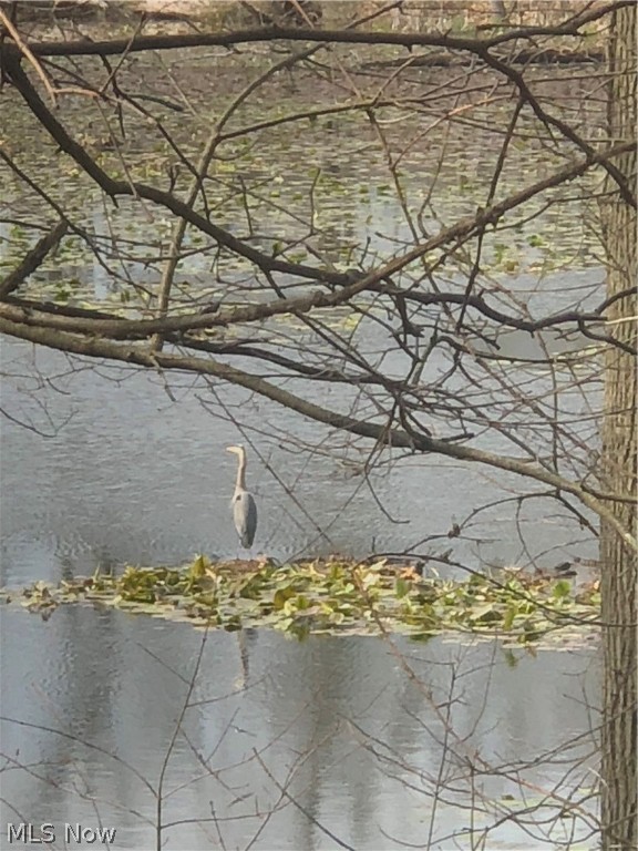 Wampetek Village - Residential