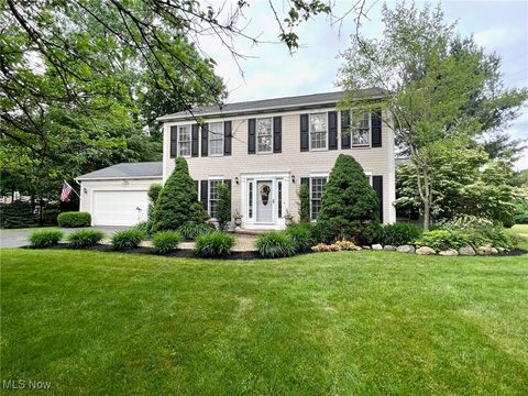 11291 Highland View Drive Chardon OH 44024
