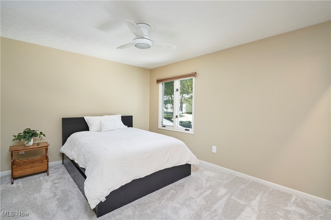 Nob Hill Allotment - Residential