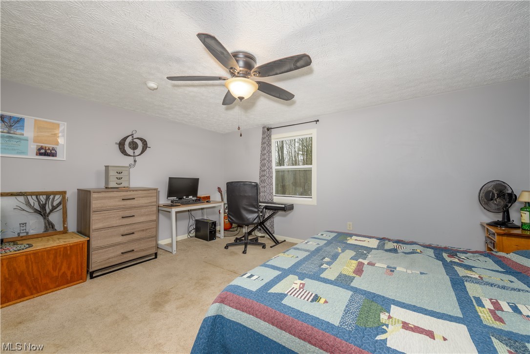 Palmyra - Residential