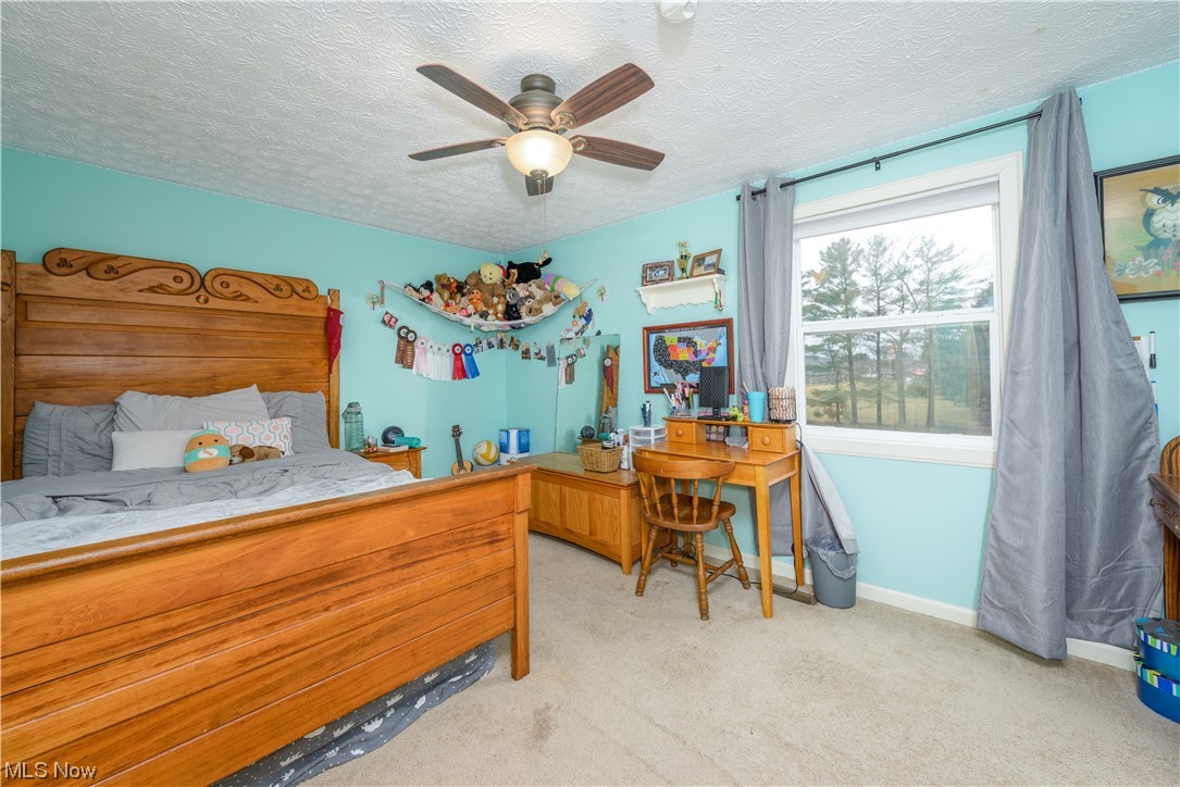 Palmyra - Residential