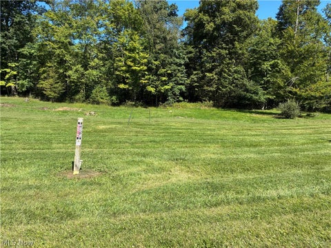 Photo of Concord Drive, East Palestine, OH 44413 (MLS # 5240309)