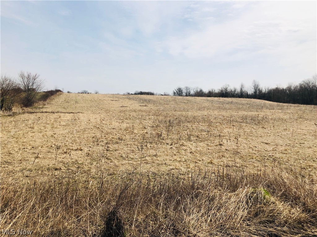 Almost 9 & 1/2 Acres of Land - Perfect for Farming. 476 x 782.